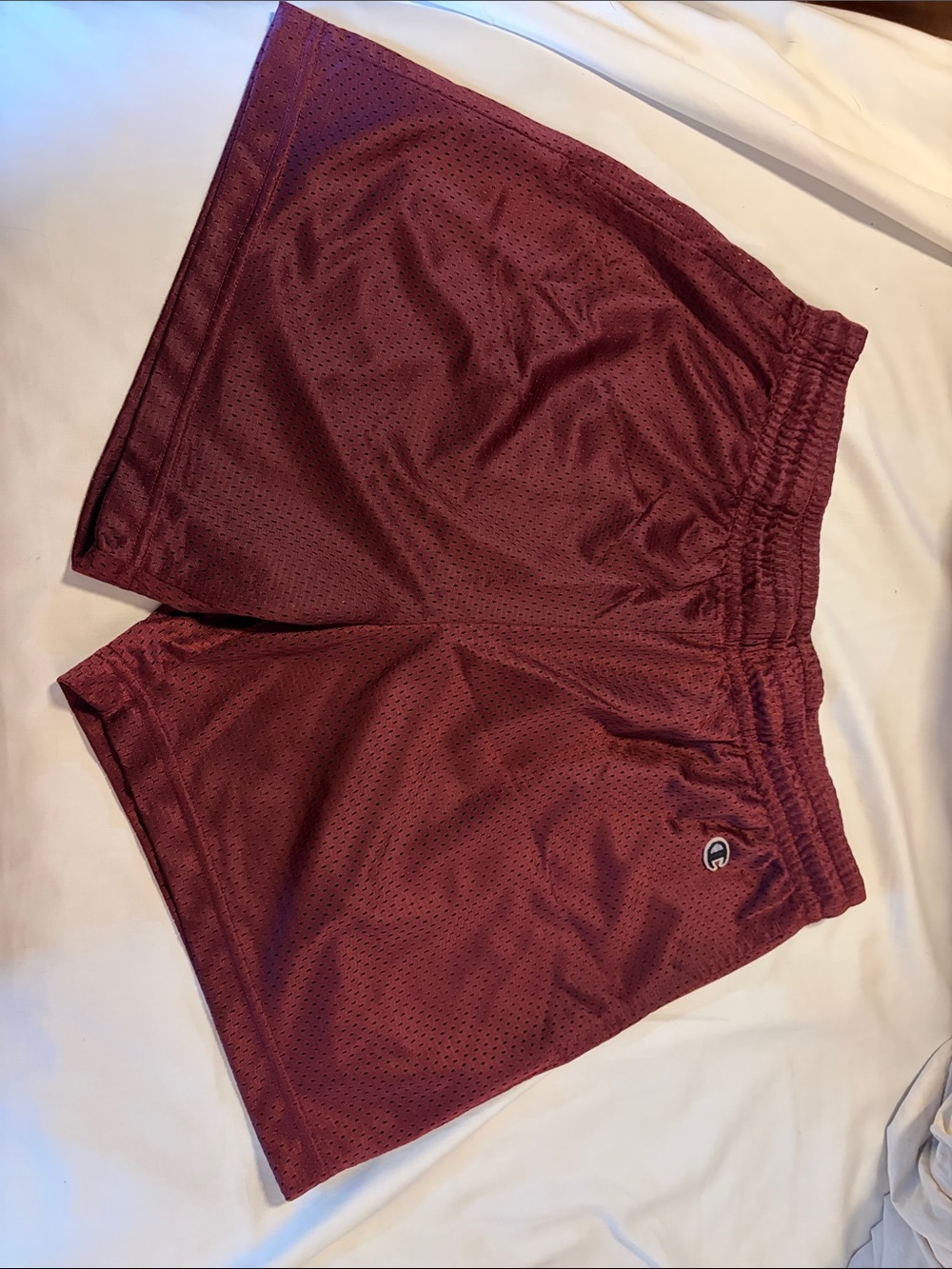 Todd Snyder champion shorts